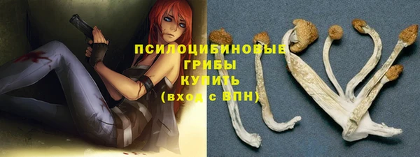 прущий лед Алексин