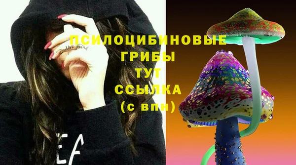 2c-b Алзамай