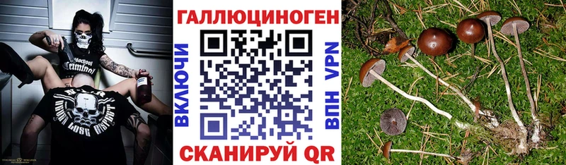 где найти   Сим  KRAKEN как зайти  Галлюциногенные грибы Magic Shrooms 